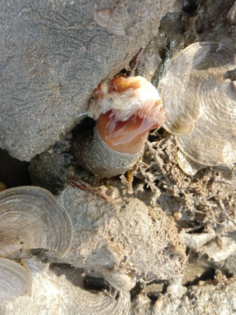 Beach Walking Desaru